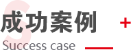 成功案例